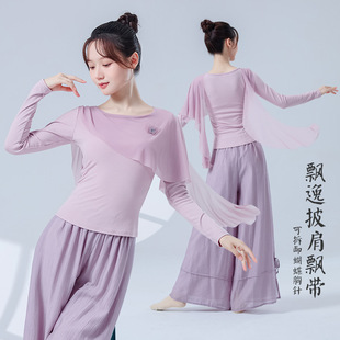 古典舞蹈服女新款长袖网纱披肩蝴蝶上衣仙气飘逸形体服演出练功服