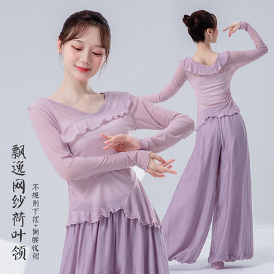 古典舞蹈服女早秋新款网纱荷叶领长袖上衣中国舞现代舞形体练功服