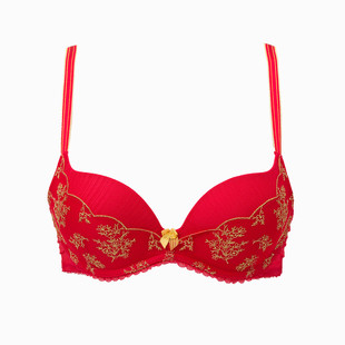 黛安芬舒适内衣女小胸无钢圈聚拢文胸11-1608