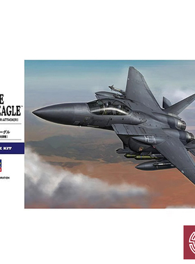 铸造模型 长谷川拼装飞机 01569 美国F15E鹰式战斗机 1/72