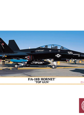 铸造模型 长谷川 1/72 F/A-18B 大黄蜂 
