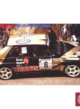 铸造模型 长谷川拼装1/24 埃索“超级三角洲”'93年 获胜车 20402