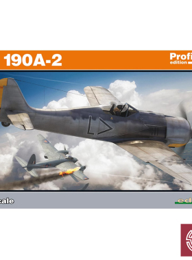 铸造模型 牛魔王拼装飞机 R82146 FW190A-2 战斗机 豪华版 1/48