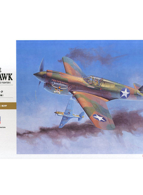铸造模型 长谷川拼装模型 1/32 美国P-40E战鹰战斗机 08879