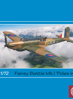 铸造模型 Special Hobby/AZUR FR0047 菲尔利波兰志愿飞行队 1/72