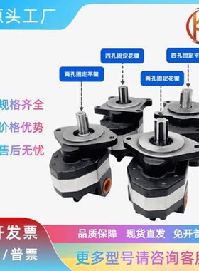 高压齿轮泵CBFC 转向齿轮泵CB-FC10/12/16/20/25/18/32/40/50/63