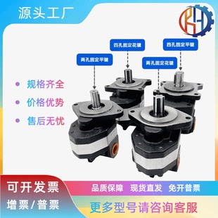 FC10 高压齿轮泵CBFC 转向齿轮泵CB