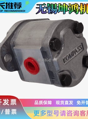 原厂KOMPASS康百世 P214RP01DT P211RP01DT P216RP01DT齿轮泵油泵