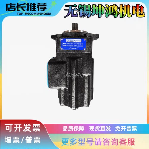 美国派克丹尼逊高压双联叶片油泵T6CCLP-031-031-4R03-C110液压泵