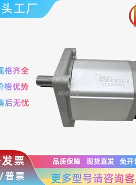 Boden博顿齿轮泵BAP2B15D10/D12/14/16/18/20/22/25/28/30C2L10-B