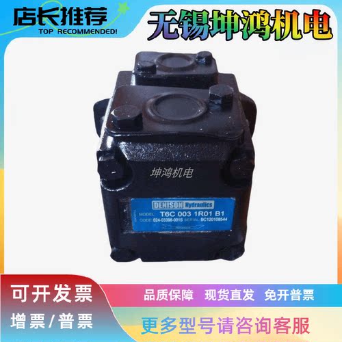 丹尼逊叶片泵T6DC-038/42/45/50-022/31/28/25-1/2/3R00/1/3-A/B1
