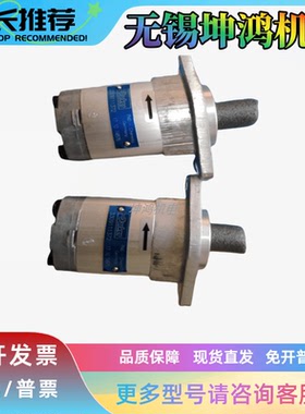 美国Parker派克齿轮泵33391331040 PGP517B0440CD1H3NE8E液压泵