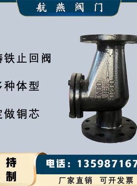 旋启止回阀铸铁止回阀法兰连接DN50-DN400