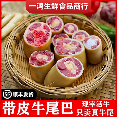 新鲜牛尾巴带皮牛尾现杀冷冻牛尾牛鞭原切黄牛尾巴整根红烧煲汤