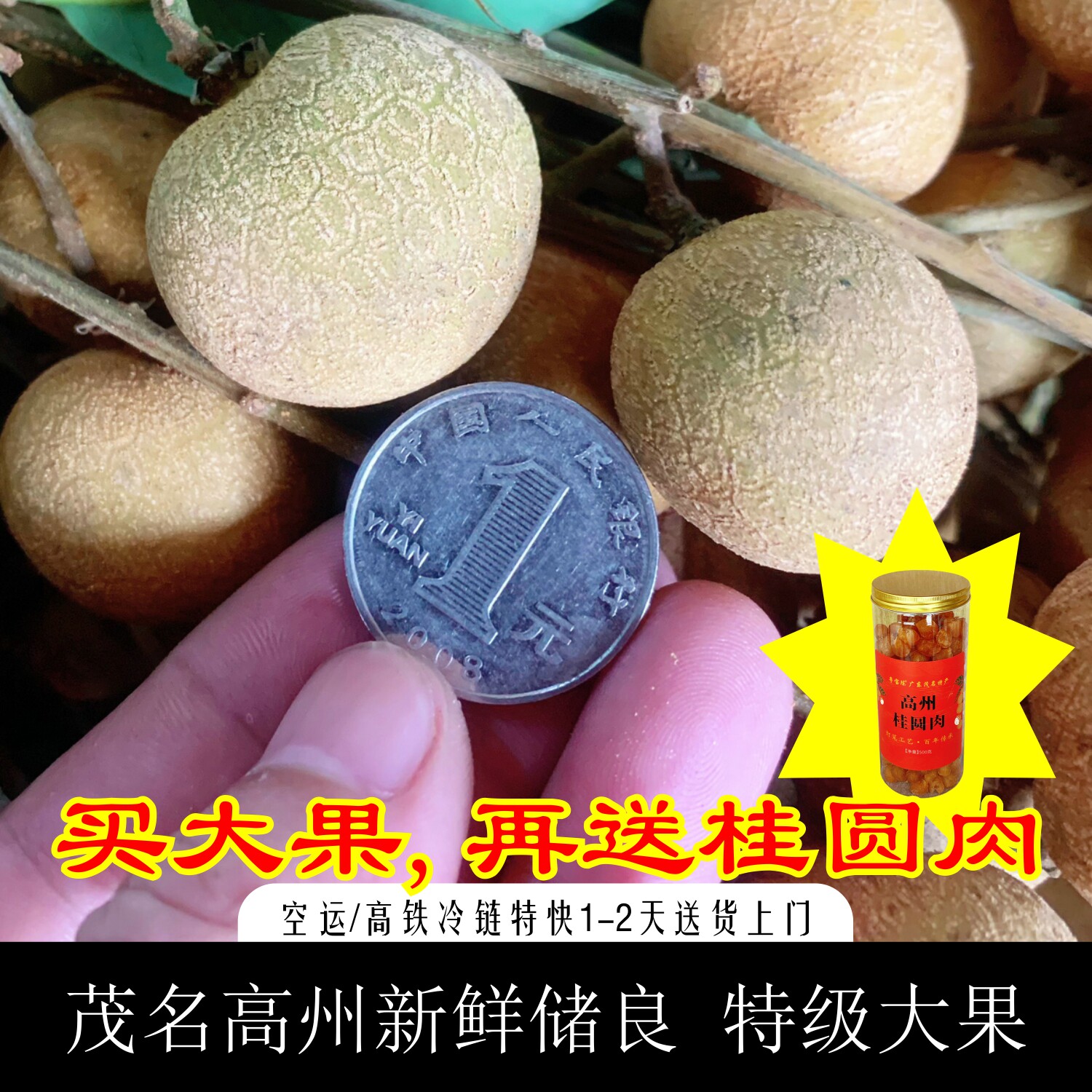 特级大果高州储良龙眼老树空运