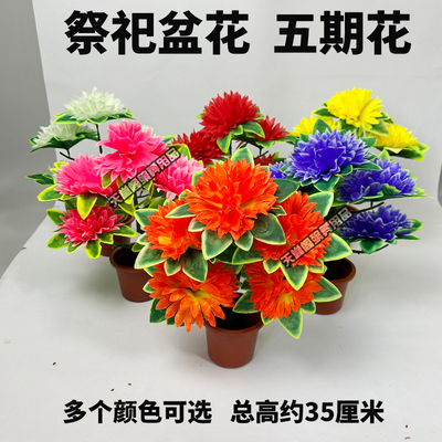祭祀墓碑盆花花祭祀用品