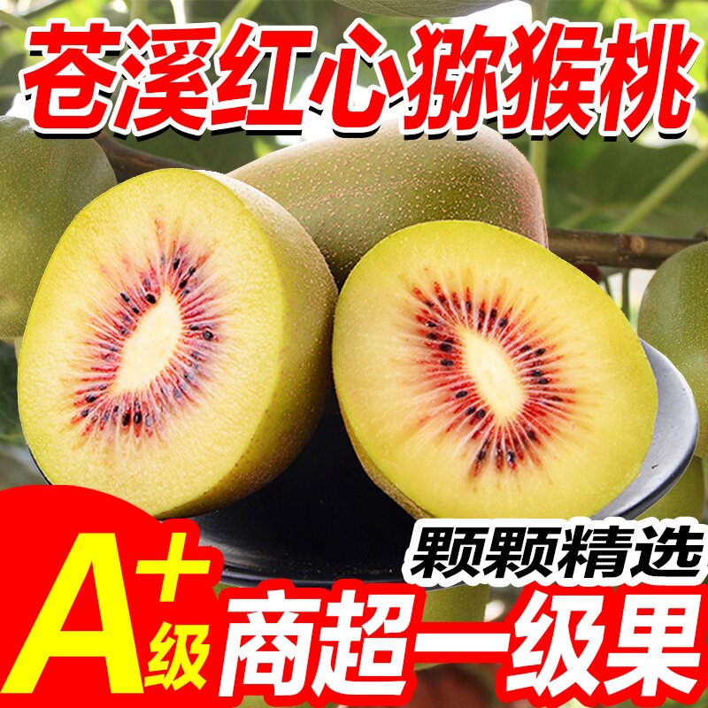 四川广元苍溪红心猕猴桃 奇异果奇异果/猕猴桃