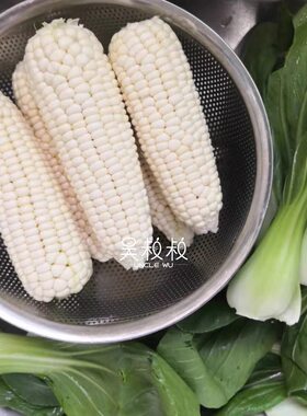 吴叔叔崇明新鲜采摘带壳白糯玉米