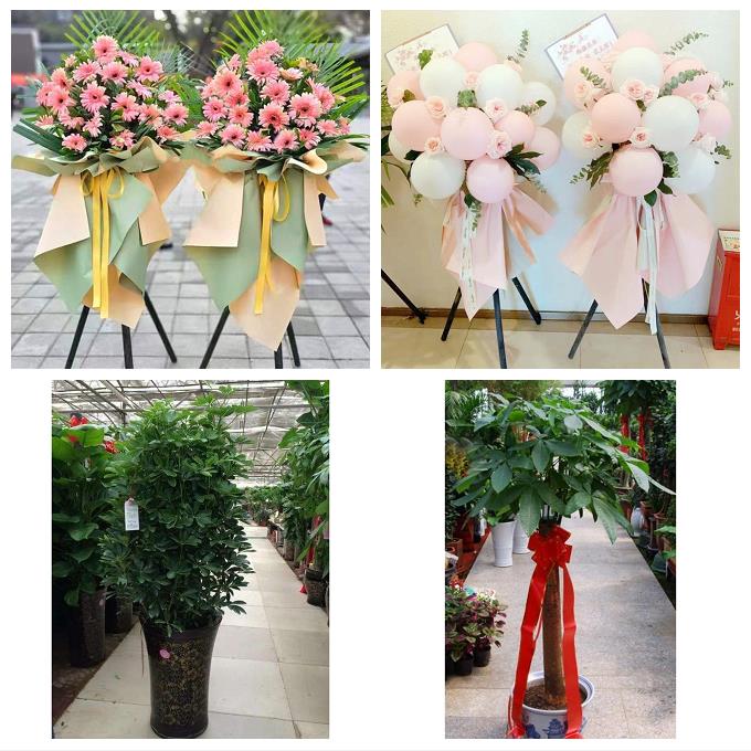 送云南省丽江市华坪县宁蒗县鲜花店同城配送朋友乔迁新店开业花篮