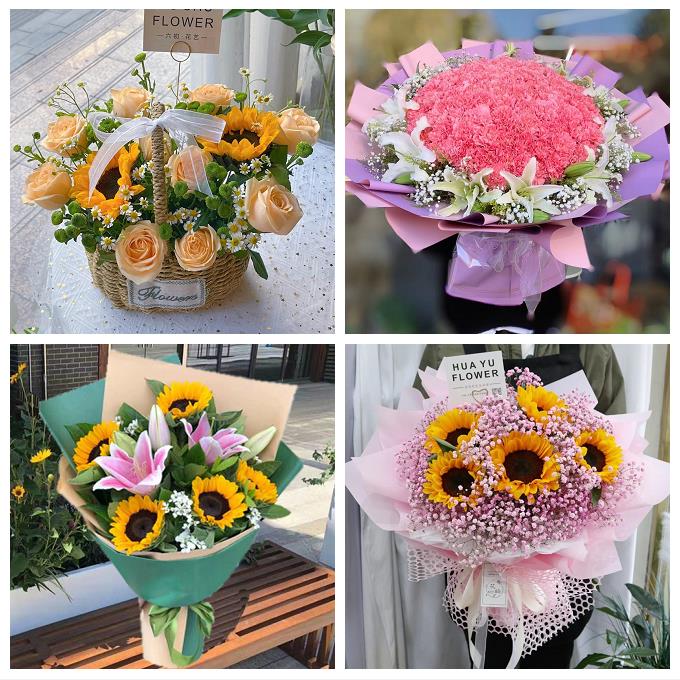 教师节送长辈生日康乃馨向日葵桂林市雁山临桂区阳朔灵川县鲜花店