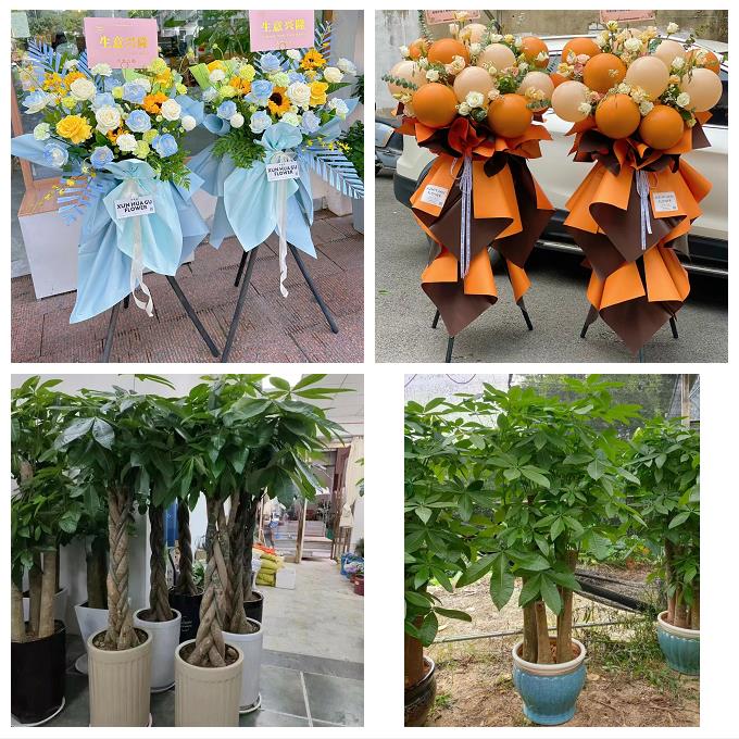 唐山市曹妃甸区遵化市迁安市同城花店订鲜花大麦开业花篮店铺开张