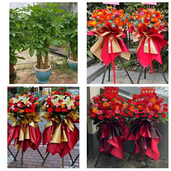 庆阳市西峰区庆城华池县环县同城花店订鲜花大麦开业花篮店铺开张 - 实物图