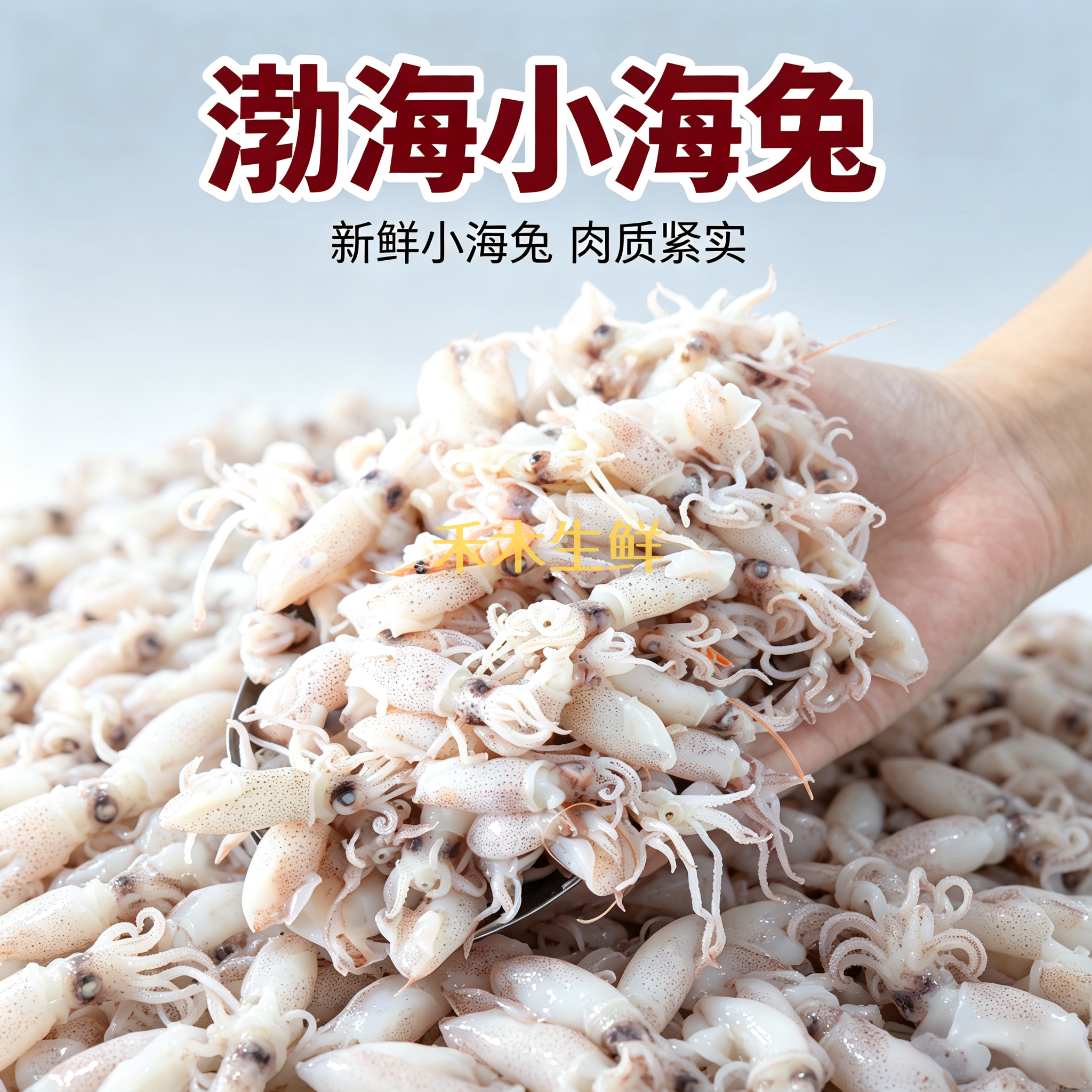 山东沾化当季新货渤海焯水小海兔小墨斗咸口无沙无泥不牙碜