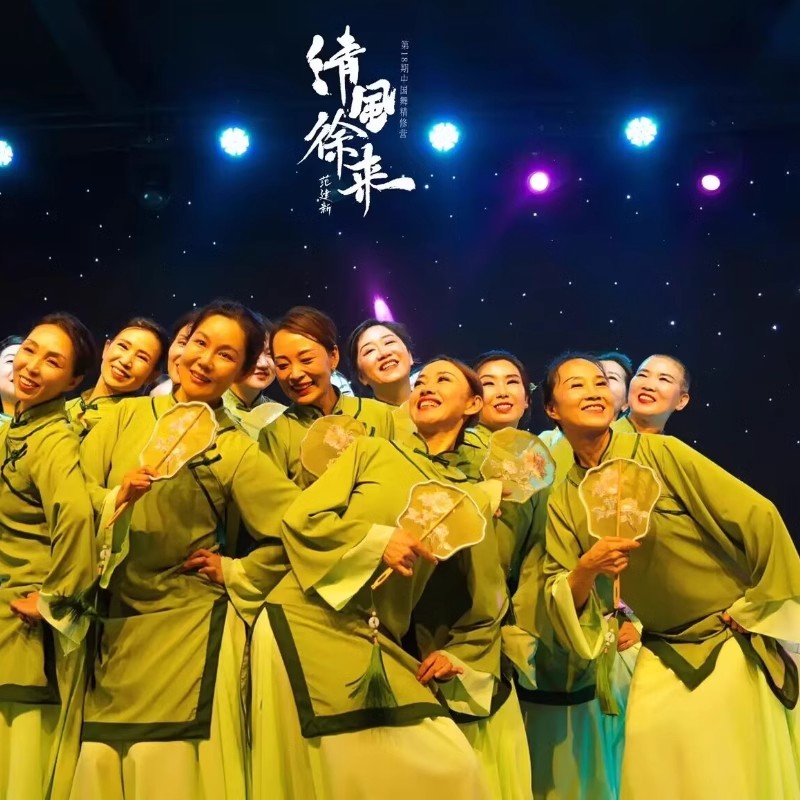 女清风徐来舞蹈服宽松扇舞表演艺考练习服装群舞古风古典舞演出服