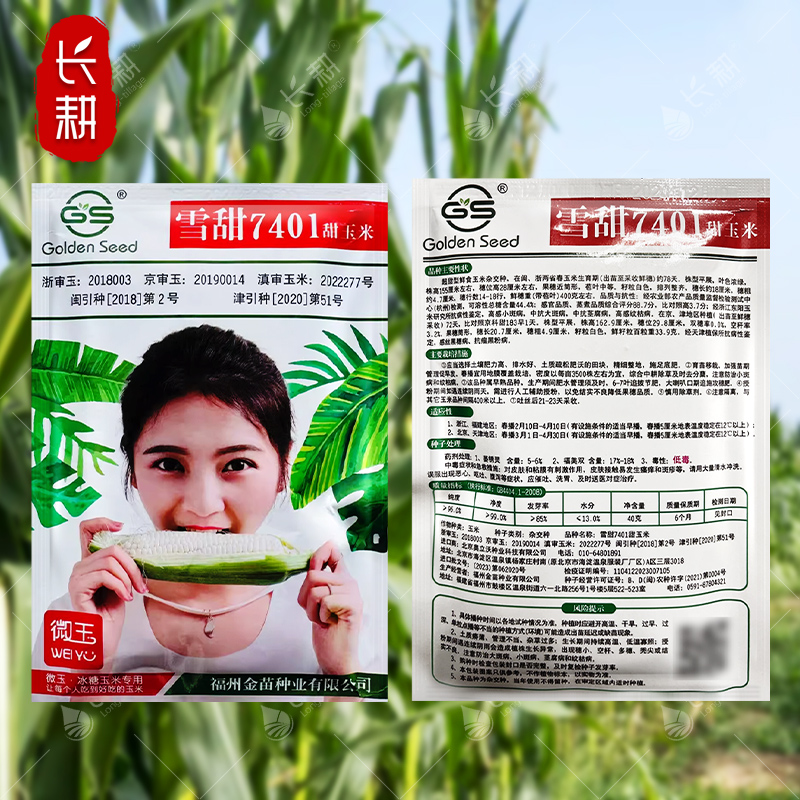 雪甜7401甜玉米种子鲜食水果玉米种籽春夏秋审定微玉冰糖玉米种孑