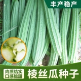 Семена ароматной люфы, люфы водяной, люфы восьмигранной, семян люфы восьмиугольной, цветочных пятен, весенних, летних и осенних семян овощей.