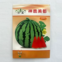 Семена арбуза Shenlu Meidu 50 оригинальных, среднеспелые/одиночные плоды 5 кг/высокие шарики/центральный сахар 12°