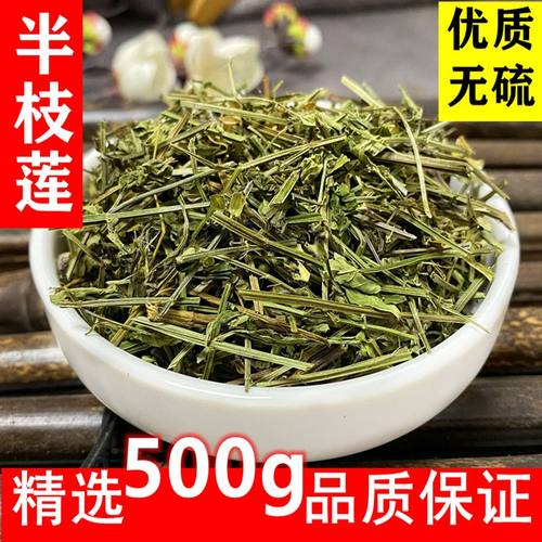 野生半枝莲铁树叶白花蛇舌草