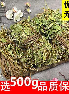 广西野生鸡骨草带叶新大黄草藤无硫煲汤当季新货干中药材精选500g