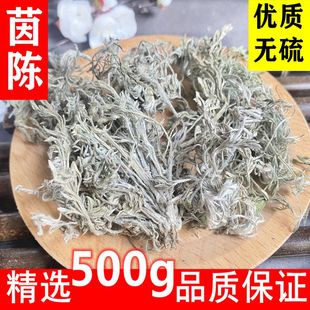 无硫中药材精选500g 茵陈野生绵陈2024年新货三月绵茵陈茶白蒿当季