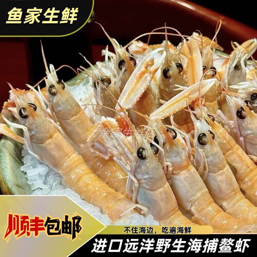抢3斤原装进口刺身海鳌虾新货秒发深海爱尔兰鳌虾 商用送芥末酱油