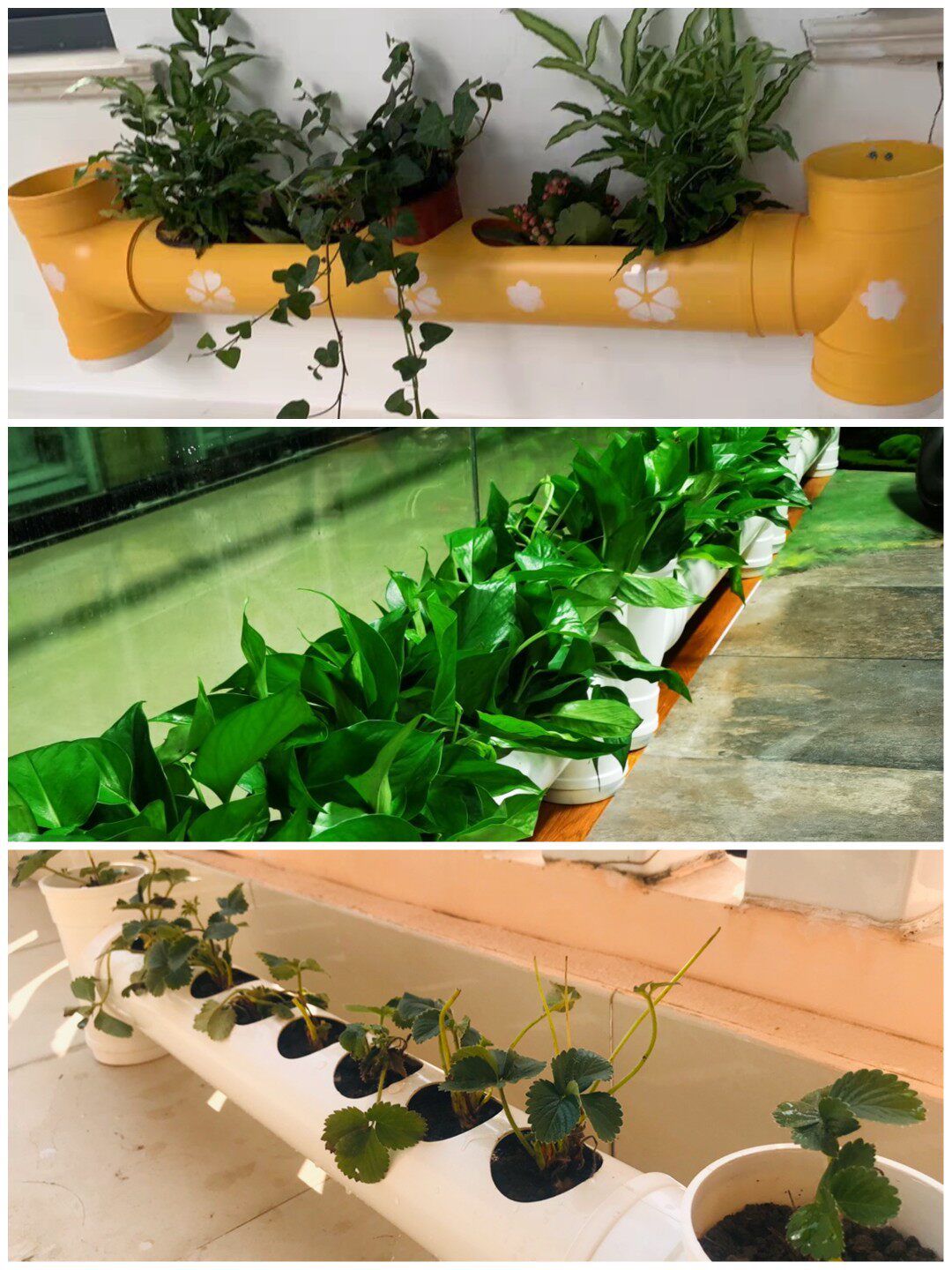 pvc管花架水管养鱼种菜养花神器幼儿园植物角装饰创意diy阳台花盆