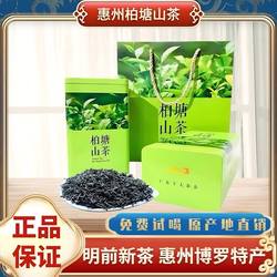 广东惠州博罗柏塘山茶明前高山手工炒青茶浓香型潮汕绿茶茶叶送礼