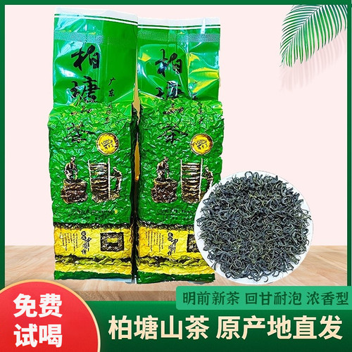 2026明前新茶广东惠州博罗柏塘山茶客家特产山茶手工浓香炒茶500g
