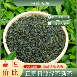 【正宗日照绿茶】2025年新茶一级浓香耐泡高山云雾绿茶袋装500g