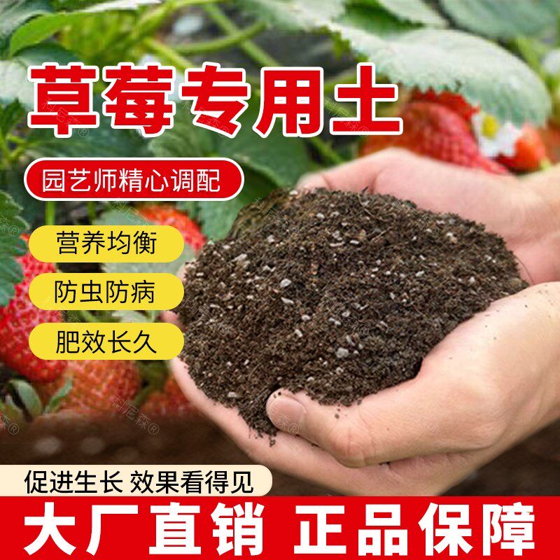 草莓专用土室内盆栽蓬松土壤草莓专用肥料水果家庭种植泥土包邮
