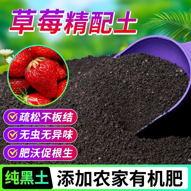 草莓有机营养土养花种菜专用土轻质土农家肥土疏松