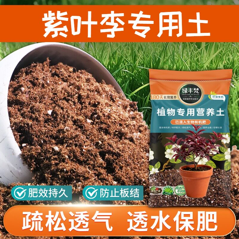 紫叶李适用育苗土科学配比种菜营养土杂质较少绿叶开袋即用观花