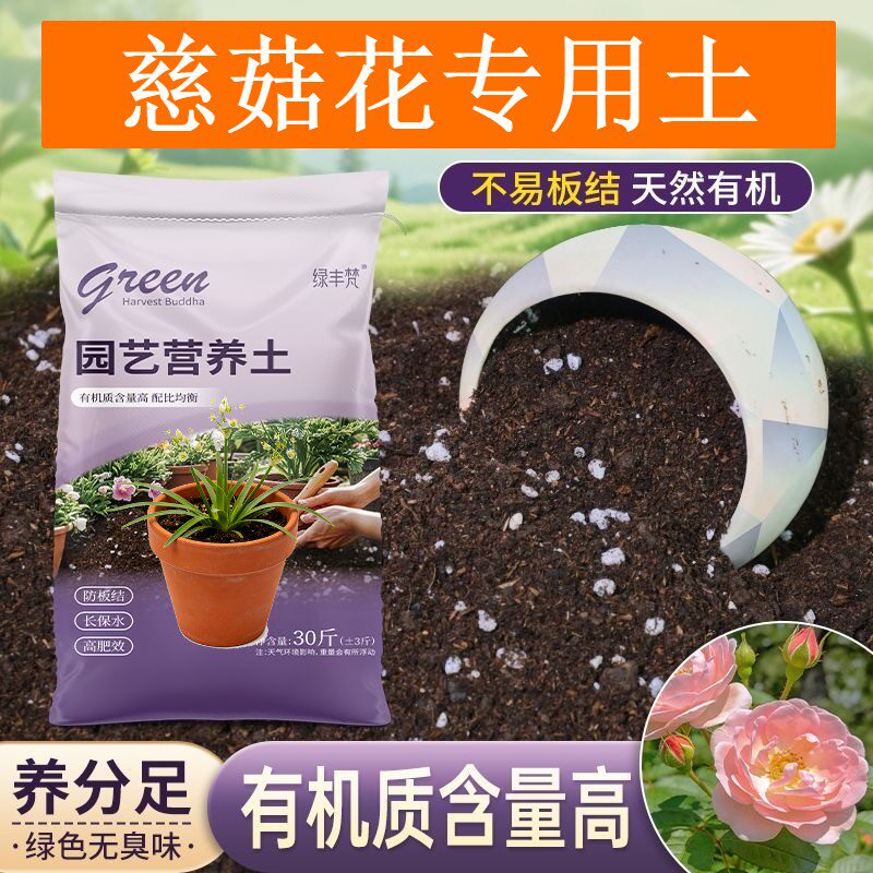 慈菇花专用进口泥炭土不板结家庭园艺加牛粪天然防黄叶多肉适用