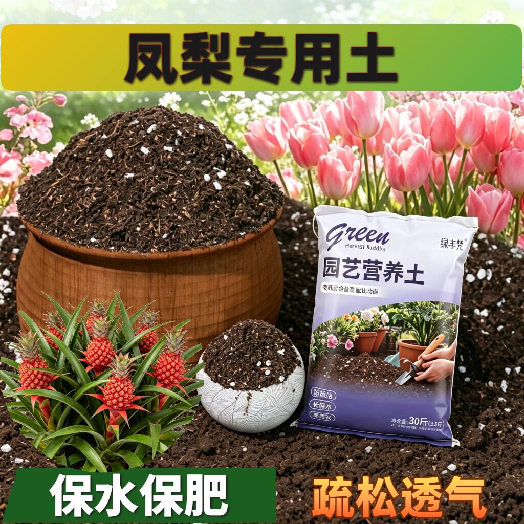 凤梨专用有机土腐殖泥炭土盆景包邮优质促生长球根养花土喜酸适用