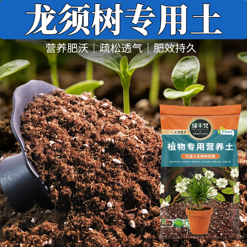 龙须树专用园土根壮苗好防烂根阳台育苗植料泥炭土轻质土科学配比