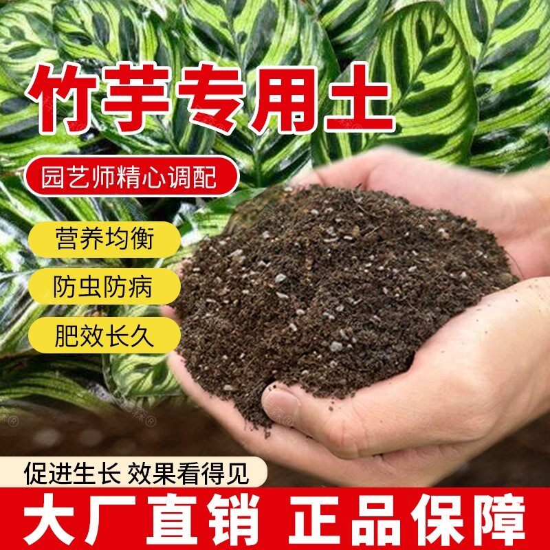 竹芋专用土肥料有机土椰砖种植黑土营养土泥土植物绿植盆栽土壤