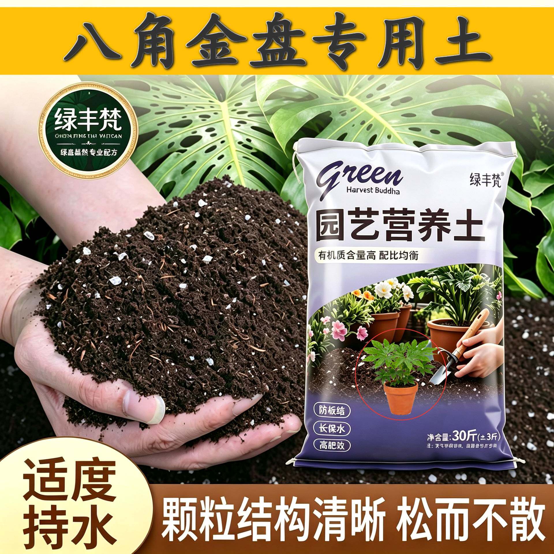 八角金盘适用进口泥炭土根壮苗好加珍珠岩加有机肥有机促生长观花