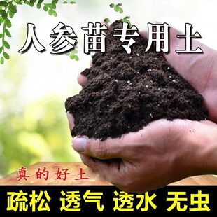 人参苗专用土盆栽营养土家用花土壤通用弱酸性泥碳土绿植种植肥料