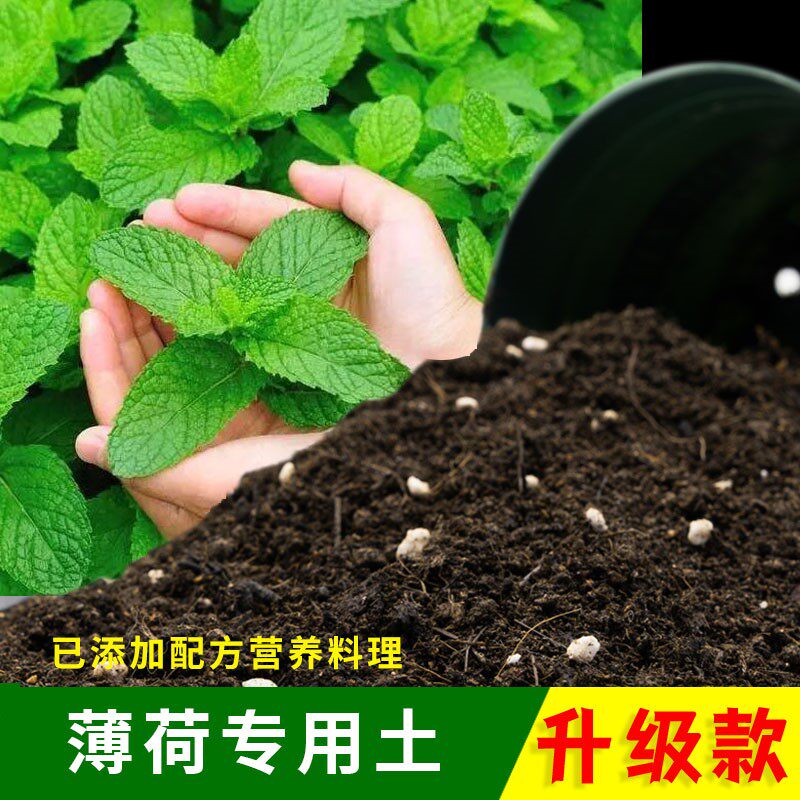 薄荷专用土家用土酸性优质盆栽种植土薄荷营养土室内绿植花土肥料