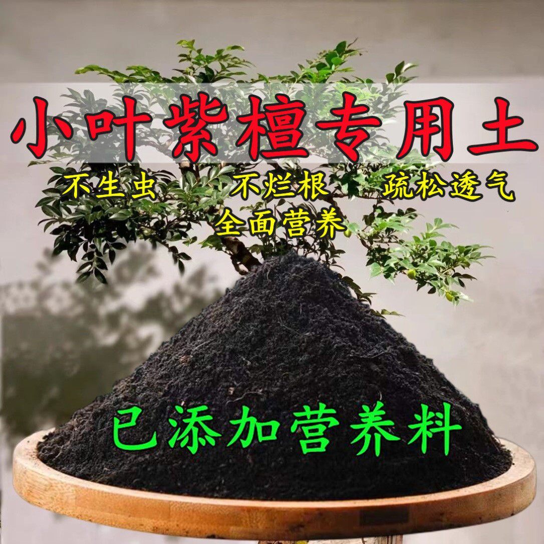 小叶紫檀专用土小叶紫檀土盆栽盆景营养土酸性沙质土壤种植土肥料